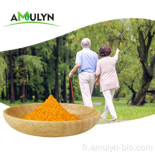 Curcumine extrait de curcuma hydrosoluble 5% 10%